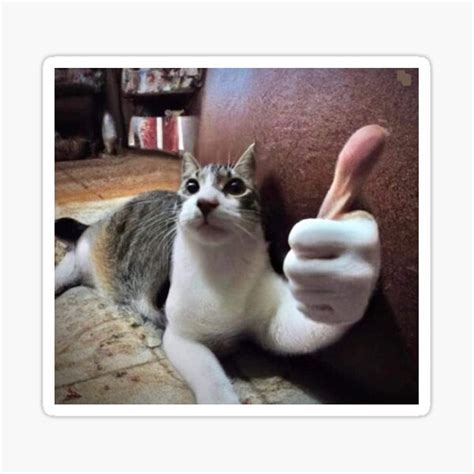 "Funny cat meme human hand thumbs up" Sticker for Sale by nickcosky ...