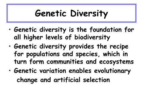 PPT - Genetic Diversity PowerPoint Presentation, free download - ID:611552