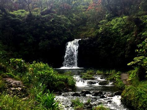 The Best Road To Hana Stops | Must See Stops | Hawaii Travel Guide