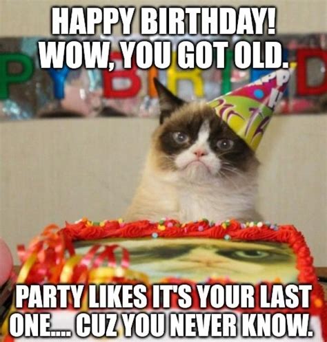 Happy birthday cat meme - Meme by hybridsense153 :) Memedroid