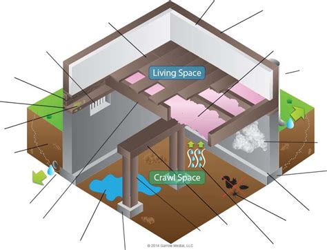 8 Common Crawl Space Problems and How to Fix Them - Nexus Energy Center