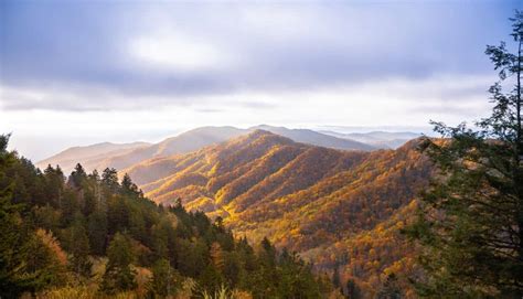 Top 5 Things to Do This Fall in Pigeon Forge, Tennessee