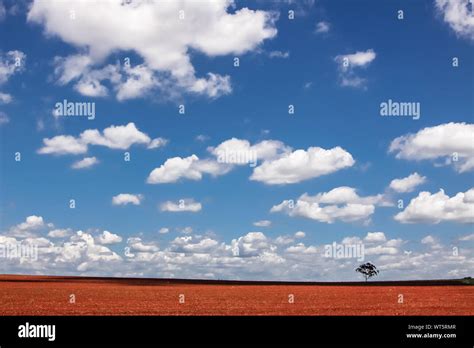 Australian countryside landscape with open sky, Queensland, Australia ...