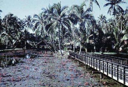 Coco Palms Resort – Historic Hawaii Foundation