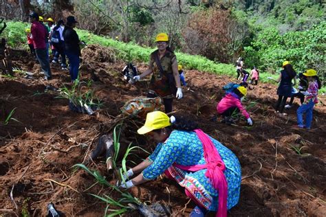 Tree planting campaign - April 27th 2014, Nairobi • BAPS Charities