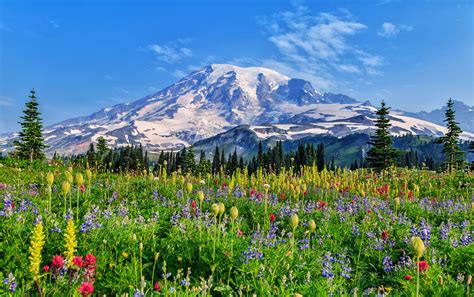 Mount Rainier National Park