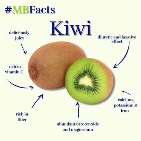 Kiwis – Metabolic Balance Blog