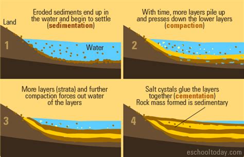 Sedimentary Rocks - Science