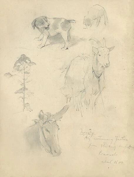 Pencil sketches of animals -- a dog, a goat and a donkey