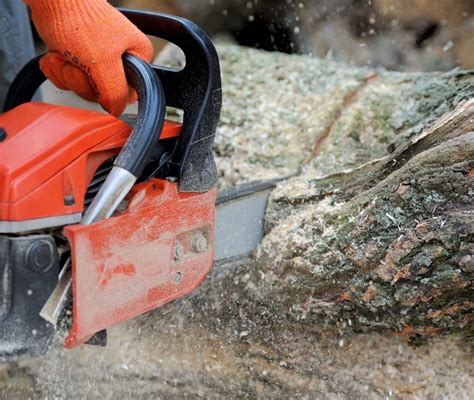 10 Best Chainsaw Brands in 2024 | SawAdvisor