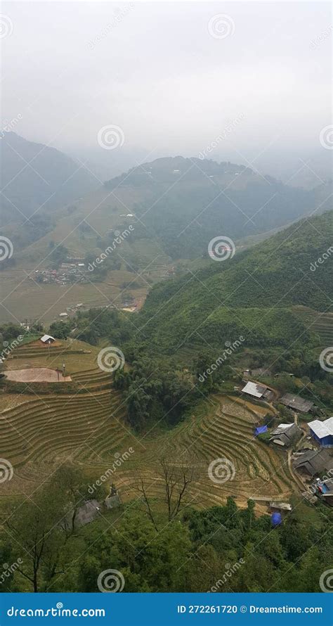 Rice Terraces in Sapa, Vietnam Stock Photo - Image of vietnamese, hill ...