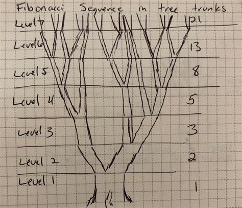 Glen Brunke Blog: Fun With Data: Fibonacci Trees