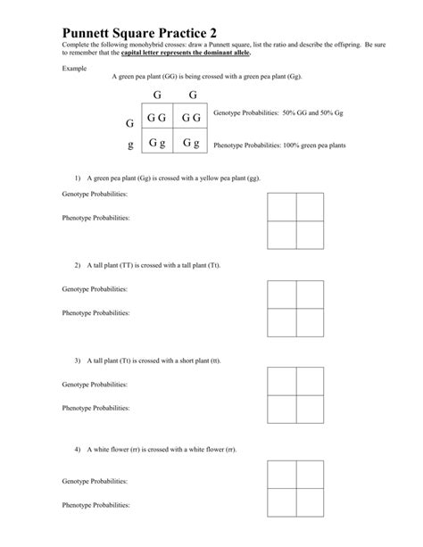 Punnett Square Worksheet