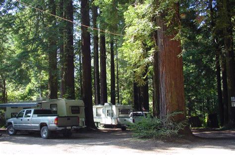 Camping on the Redwood Coast