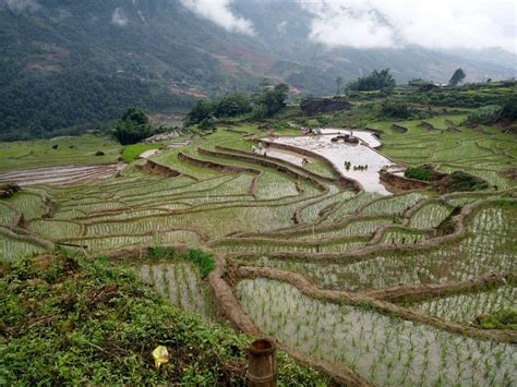 Trekking in Sapa, Vietnam: What You Need to Know - Claire's Footsteps