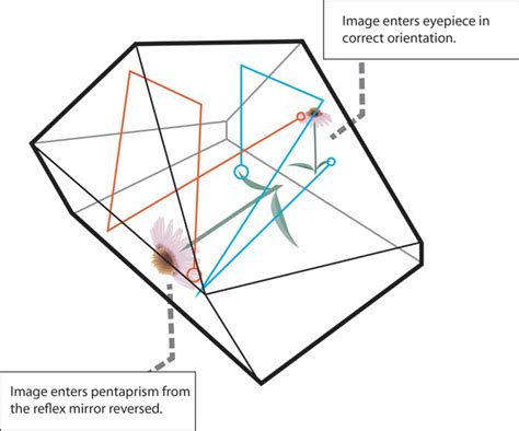 DSLR – Illustration – Pentaprism – TTAC