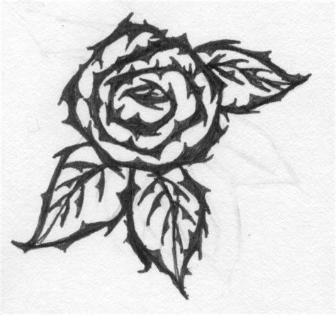 Rose With Thorns Drawing at PaintingValley.com | Explore collection of ...