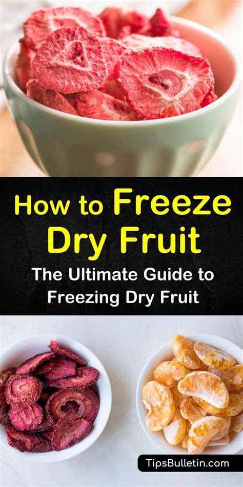 5 Quick Ways to Freeze Dry Fruit