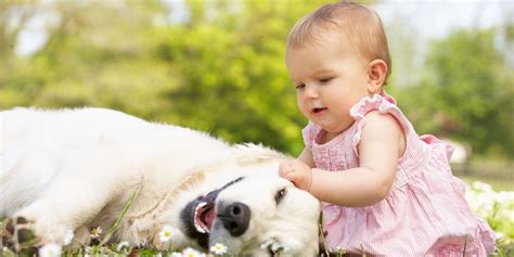 Bebés y perros: ¿Cómo debo actuar?