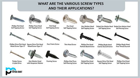 What Are The Various Screw Types And Their Applications?