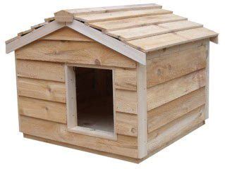 5 Best Outdoor Insulated Cat Houses | Outdoor Cat Houses