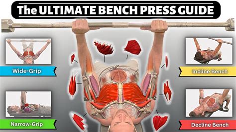 Bench Press Muscles Worked