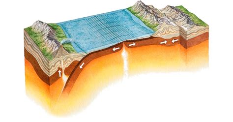 What are Tectonic Plates | Tectonic Movement | DK Find Out