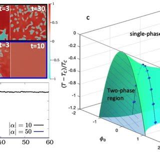 Figure S6: Phase diagram of passive LLPS and active-LLPS lacking ...