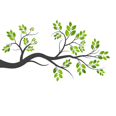 Tree branch vector ilustration design 3143226 Vector Art at Vecteezy