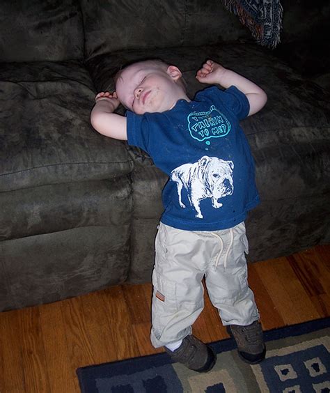 158 Hilarious Pics That Prove Kids Can Sleep Anywhere | Bored Panda