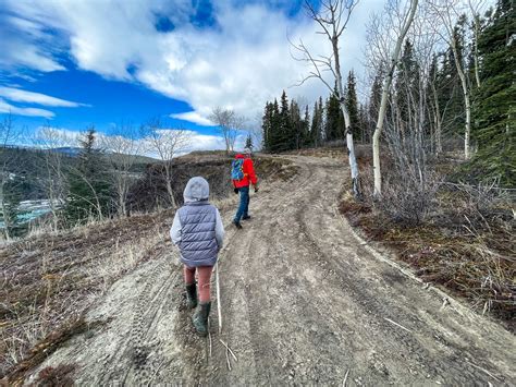 Yukon River Trail South | Yukon's Hiking Guide | yukonhiking.ca