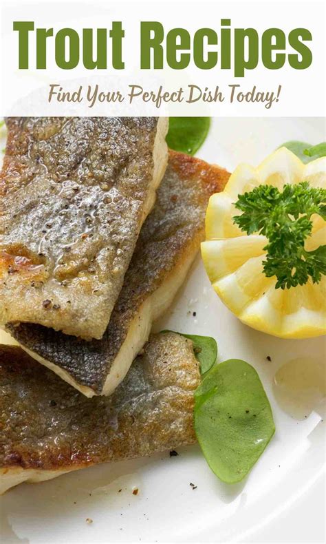 Trout Recipes - Find Your Perfect Dish Today!