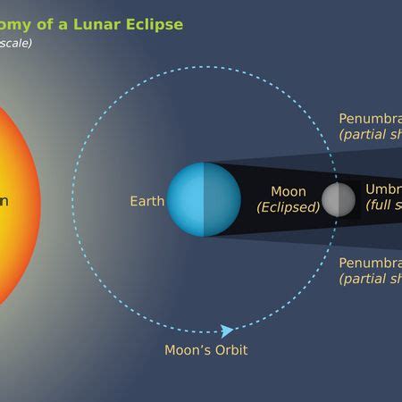 9 best images about Moon Phases & Eclipses on Pinterest | Halo, Solar ...