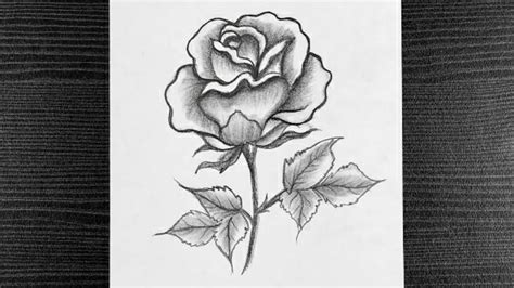 Flowers Drawing With Pencil Shading | Best Flower Site