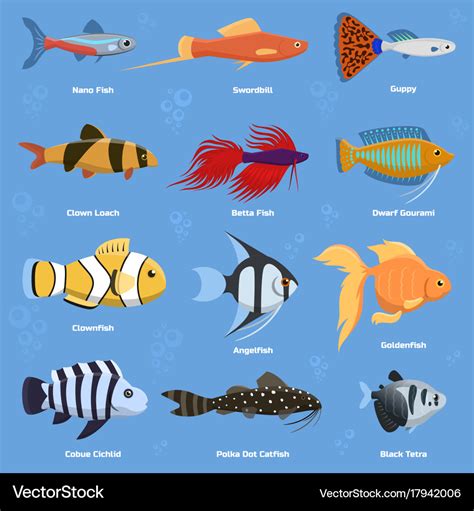 Aquarium and ocean fish breeds underwater bowl Vector Image