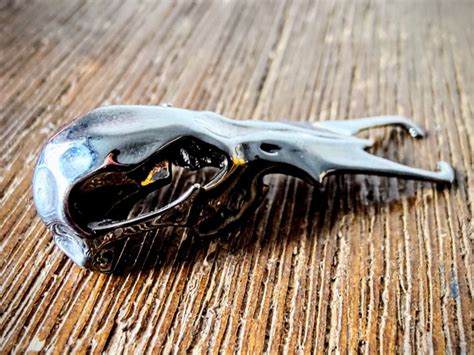 Platypus Skull | 3D Printing Shop | i.materialise