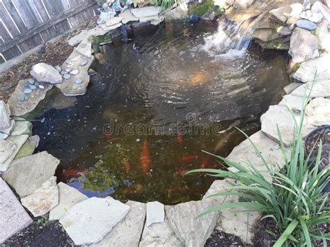 Koi pond with waterfall stock image. Image of backyard - 188359667