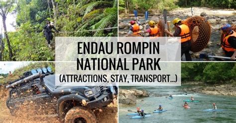 Endau Rompin: What To Do, How To Get There & Where To Stay