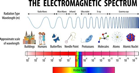 diagrama de espectro electromagnético de ciencia 2687234 Vector en Vecteezy