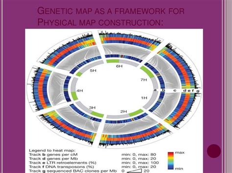 Construction of human gene map through map integration- from genetic