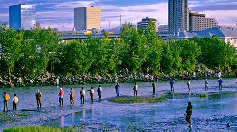 Area Attractions and Fun Activities in Anchorage Alaska