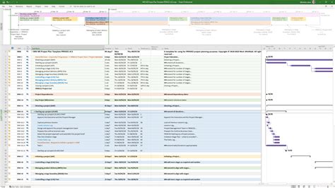 PRINCE2 MS Microsoft Project MPP MSP and Microsoft Excel Spreadsheet ...