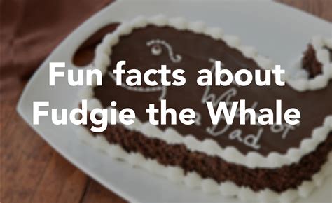 Fun facts about Carvel's Fudgie the Whale