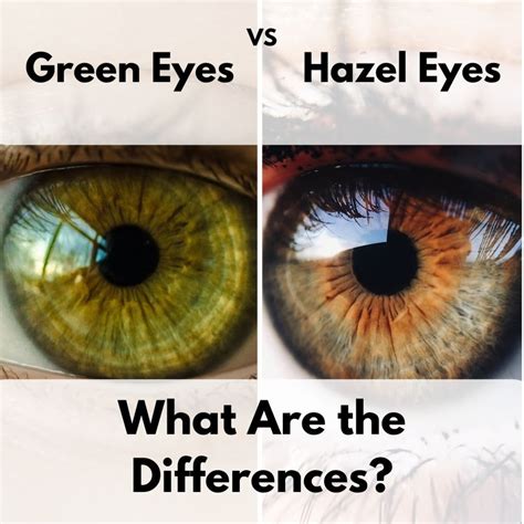 The Difference Between Green and Hazel Eyes - Owlcation