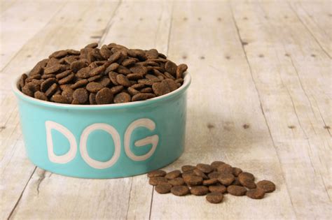 Top 10 Quality Dog Foods: You'll Never Guess What Makes the Cut ...