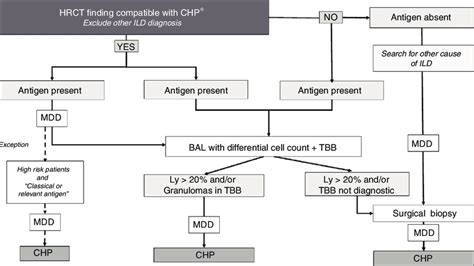 Hypersensitivity Pneumonitis: Radiologic Phenotypes Are, 47% OFF