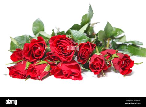 Rose bouquet isolated on white background Stock Photo - Alamy