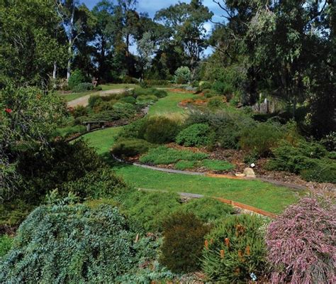 Australian native garden, Native garden, Australian garden