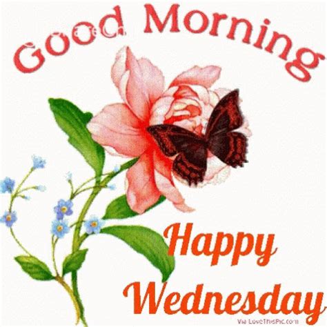 Good Morning Happy Wednesday GIF - GoodMorning HappyWednesday शुभप्रभात ...