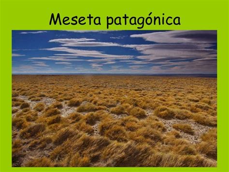 Meseta patagónica